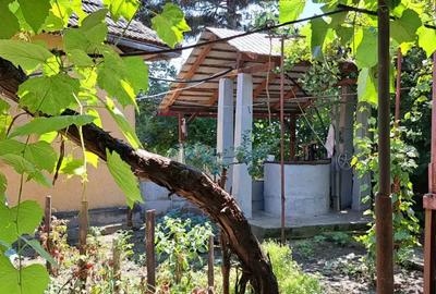 Casa de vanzare, comuna Cujmir, Mehedin?i, beci, fantana, gradina, 686 mp total - 1