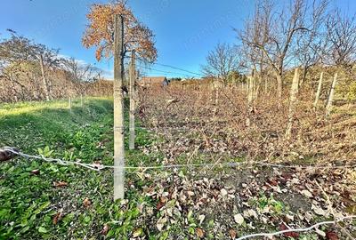 De Vanzare , TEREN in suprafata de 1900 mp , cu CASA BATRANEASCA - 9
