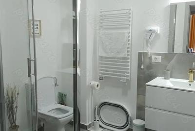 Apartament cu 2 camere decomandat în Băile Felix - 1