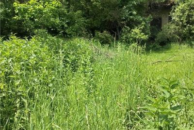 Casă cu 2 camere cu Teren 5090 Mp în Vâlcele - 12