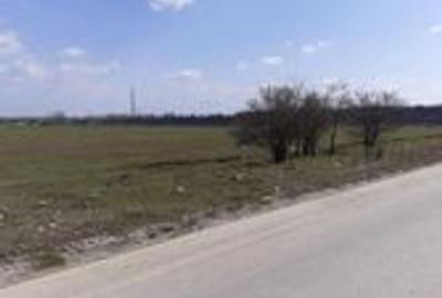 Teren de 38000 mp, în 1 Decembrie