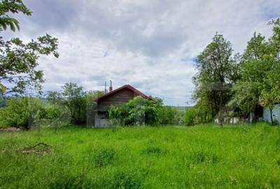 Casa 3 camere si teren 4873 mp in Pietroasa, Moldovenesti - 9