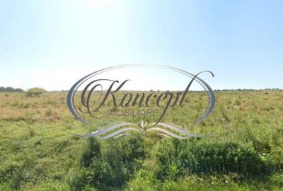 Teren intravilan in Salicea - 3