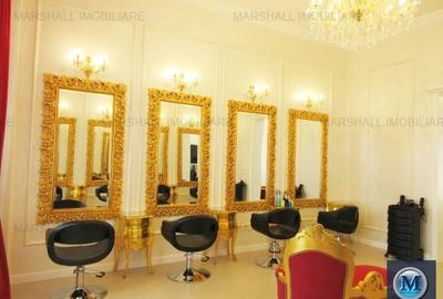 Vila cu 14 camere de vanzare, zona Ultracentral, 327 mp #13125 - 5