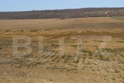 Teren de 12500 mp, în Central