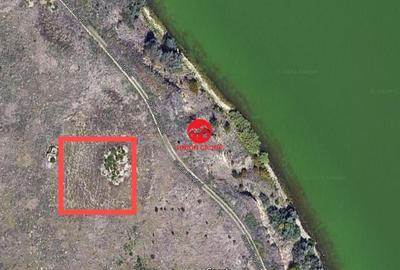 Teren de 1500 mp, în Palazu Mare