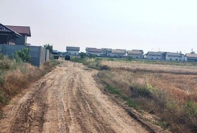 Vanzare Teren intravilan Magurele 5000mp - 5