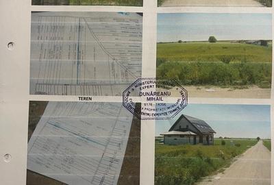 Peris Ilfov, Strada Piersicariei - 5