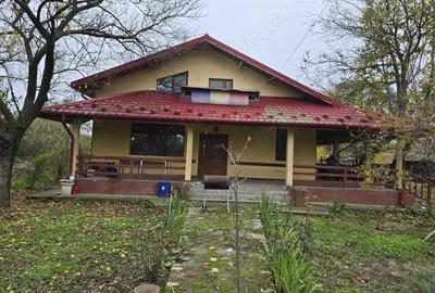 Casă cu 6 camere cu Teren 4000 Mp în Vedea - 2