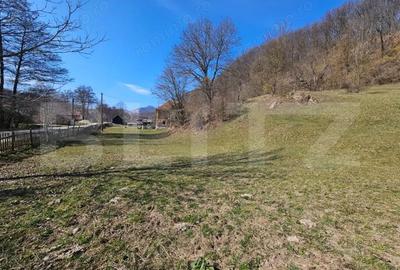 Casă cu Teren 6820 Mp în Almașu Mare - 1