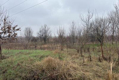 Teren Construcții extravilan de 8874 mp, în Tărtășești - 5