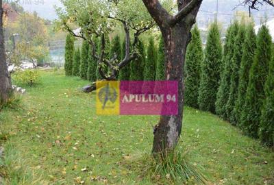 Vila de vanzare in Poiana Campina - 18