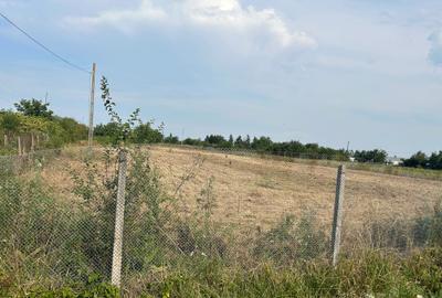 Spațiu comercial, în Central - 1