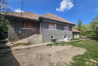 Casă cu 2 camere cu Teren 4000 Mp în Central - 3