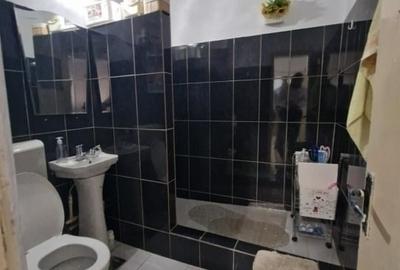 Apartament 2 camere Casa de Pensii - 6