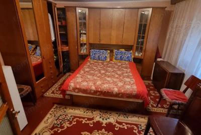 Viile noi-casa la sol cu garaj - 20