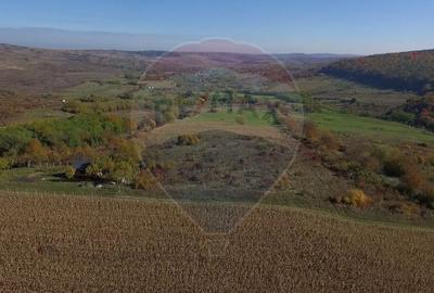 Teren agricol intravilan de 2556 mp, în Pădureni (Chinteni) - 9
