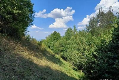 Teren de 3000 mp, în Măguri - 9