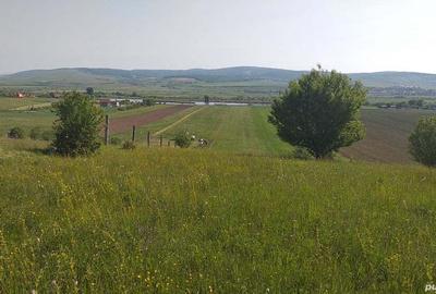 Teren de 18000 mp, în Feldioara - 2