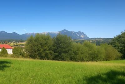 Teren intravilan 4200 mp Tohanu Nou - 2