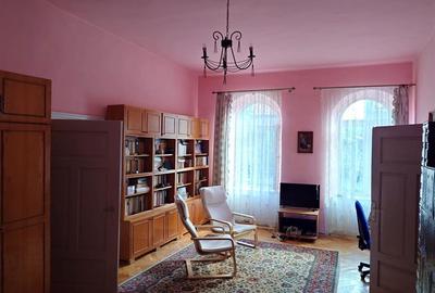 Casa cu aer nobil in Baia de Cris - 5