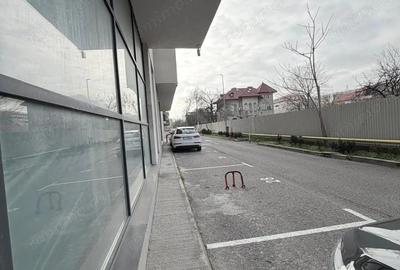 Zona Theodor Pallady sp 244 mp open space + 10 locuri parcare - 9