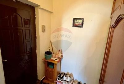 Apartament 3 camere Zona Brailei - 13
