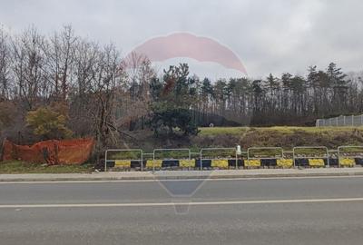 Oportunitate investitie B. Felix teren intravilan cu PUZ 1157 mp DN 76 - 4