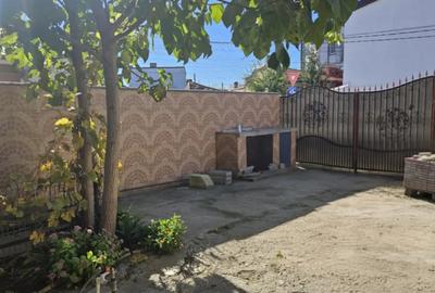 Casă cu 3 camere cu Teren 300 Mp în Pieptănari - 14