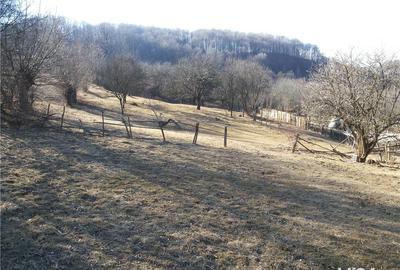 Teren de 12500 mp, în Câmpulung Muscel