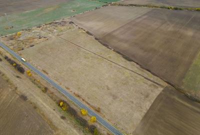 Teren 22.500 mp–Pecica, jud. Arad,Posibilitate PUZ - 4