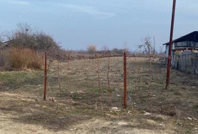 Teren de 2450 mp, în Tămășești - 2