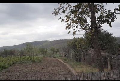 Teren de 1000 mp, în Exterior Vest - 1