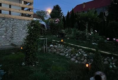 Casa individaual renovata, curte amenjata Boteni de Arges - 9