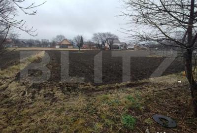 Casă cu 3 camere cu Teren 1500 Mp în Central - 3