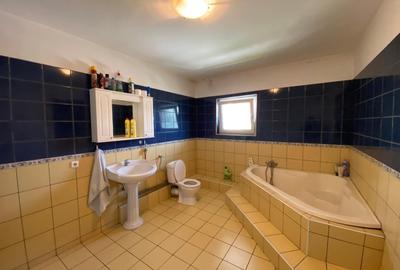 Vanzare casa vila 5 camere zona Crangasi - 15