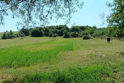 Teren de 7100 mp, în Girov - 4