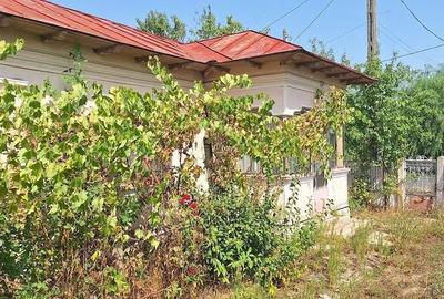 Casă cu 3 camere cu Teren 856 Mp în Socetu - 4