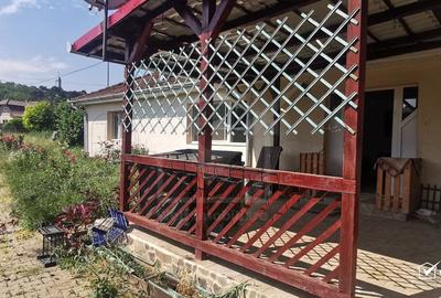 Casa individuala cu gradina frumoasa, teren mare Moldovenesti-Cluj - 13