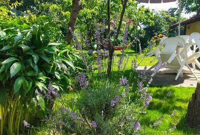 Vand Casa Individuala - 2