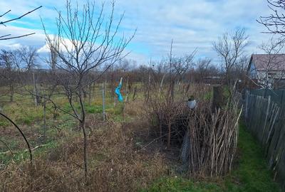 Casa batraneasca de vanzare in Orasul TECUCI - 4