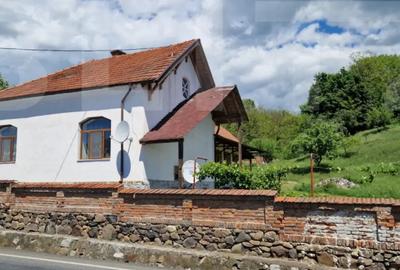 Casă cu 4 camere cu Teren 3166 Mp în Bejan - 3