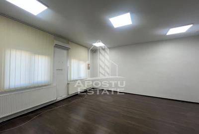 Spațiu industrial, de 580 mp, în Șagului - 6