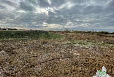 Teren Construcții intravilan de 6900 mp, în Odăi - 1