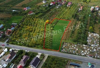Teren de 2619 mp, în Oeștii Pământeni - 9