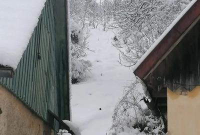 Casă cu 4 camere cu Teren 2800 Mp în Central