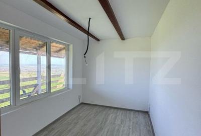 Cabana CHEILE TURZII, teren 8700 mp, priveliste superba - 5