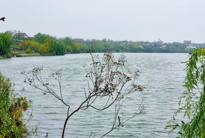 Vanzare teren de COLT 682mp Balta Lilieci Sat Lilieci Sinesti Ialomita - 8