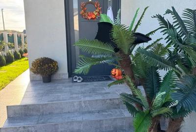 Casă în Dascălu - 2