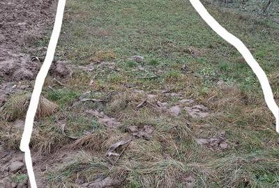 Casa batraneasca de vanzare com. Faraoani jud . Bacau - 3